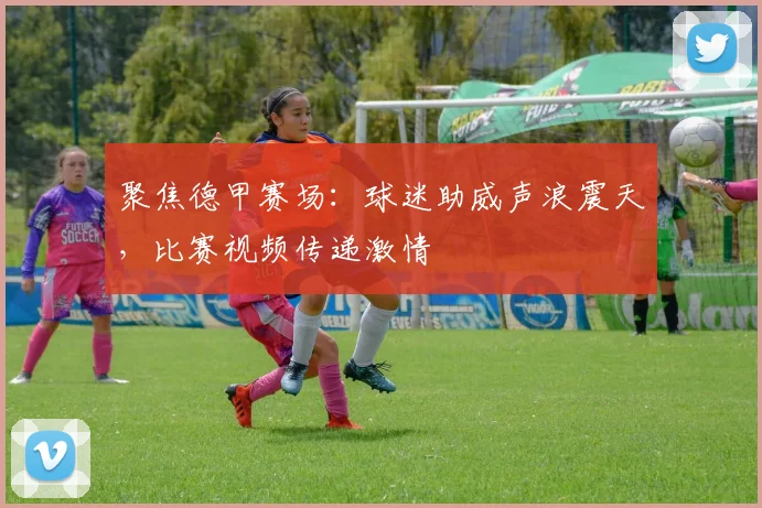 聚焦德甲赛场:球迷助威声浪震天,比赛视频传递激情