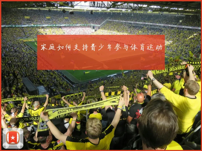 家庭如何支持青少年参与体育运动