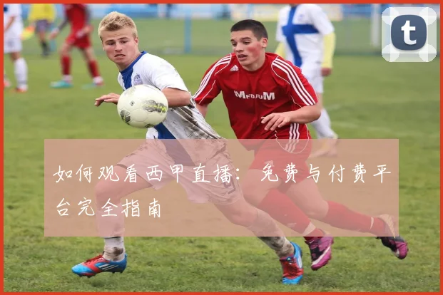 如何观看西甲直播:免费与付费平台完全指南
